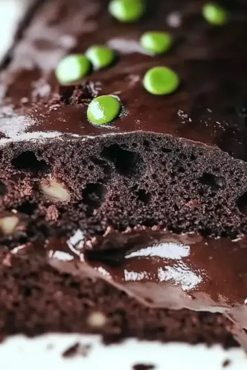 Chocolate Zucchini Bread
